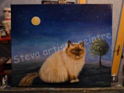 Steva , Kokos le chat de Cyrielle -Suisse